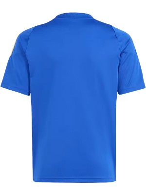 Pitch 2 street Messi fans version maillot d'entraînement uniforme de football maillot de football bleu sportswear pour hommes 2024-2025